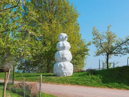 Migros Regli