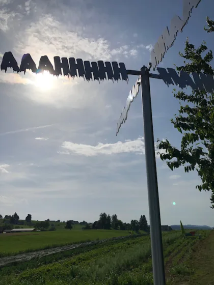 Mist DE3